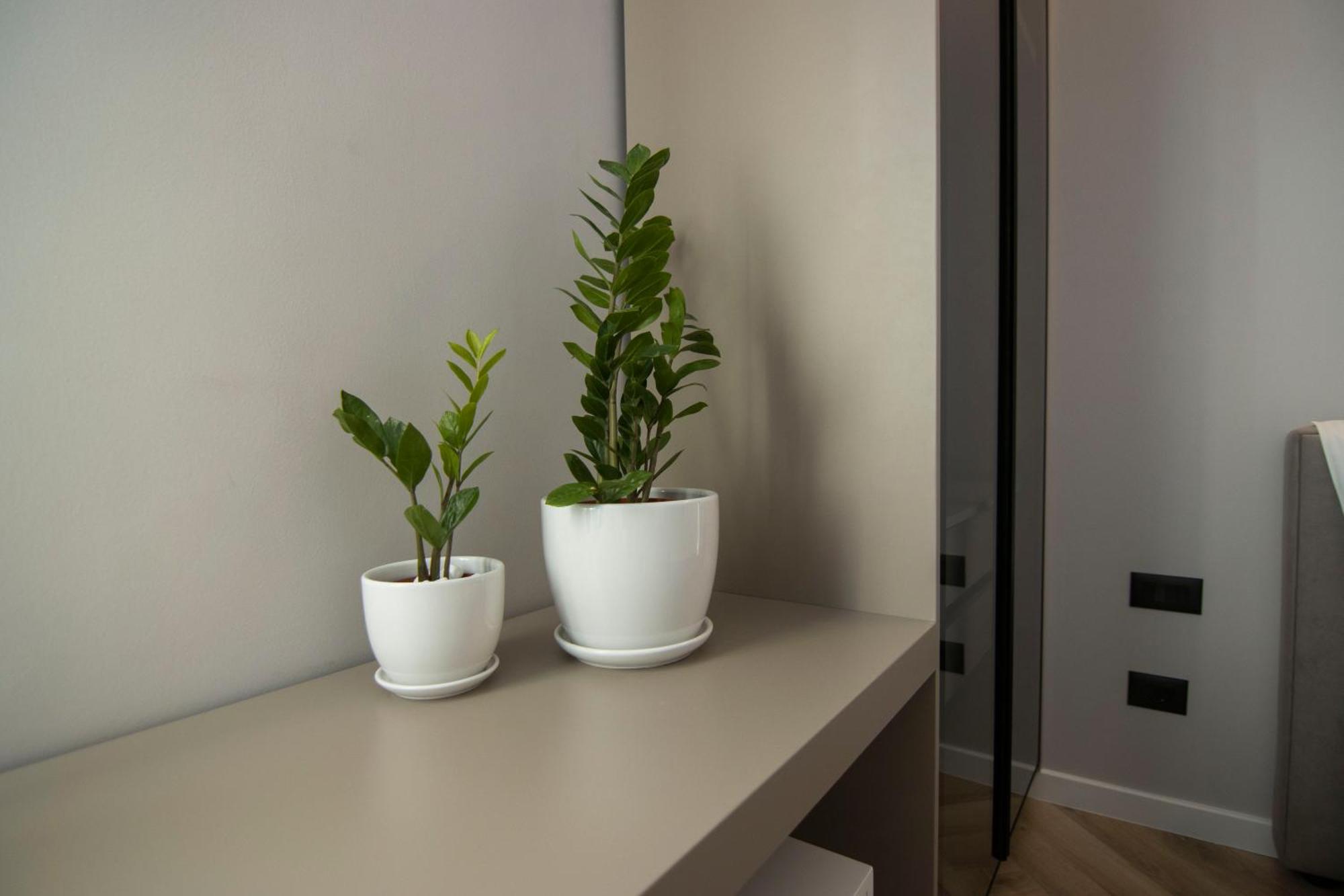 Mina Luxury Rooms Tirana Zewnętrze zdjęcie